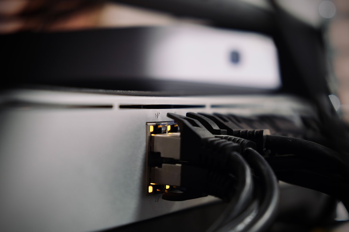 Cables Ethernet conectados a un equipo de red.