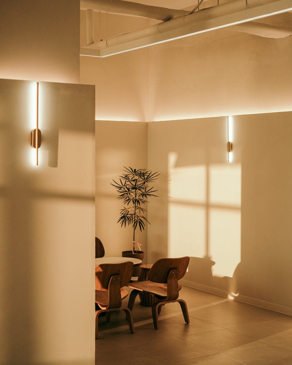 Espacio empresarial contemporáneo organizado con luz cálida y mobiliario de madera.
